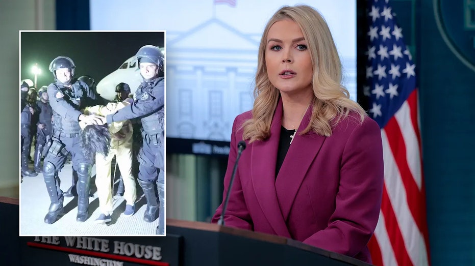 White House Denounces Judge’s Move to Halt Deportation Flights: 'No Lawful Basis'