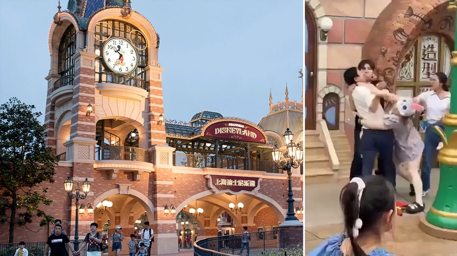 Shanghai Disneyland Brawl: Line-Cutting Dispute Turns Magical Day into Chaos