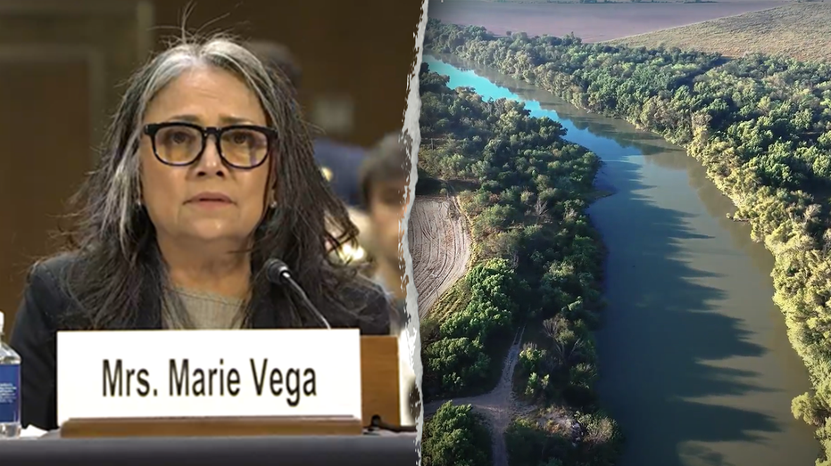Grieving Mother’s Testimony: Marine Vet Son Killed by Illegal Immigrants in Texas Ambush