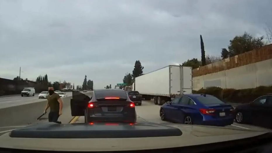 Tesla Road Rage Driver Strikes Again, Assaults Teen and Mom in Hawaii
