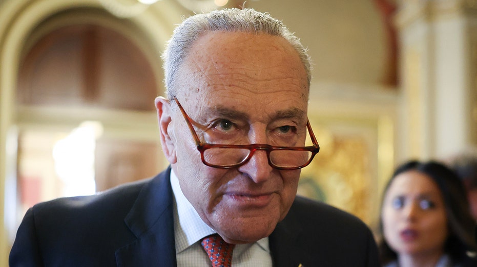 Schumer Sinks While AOC Surges: New Poll Shows New York Democrats Want a Tougher Stance on Trump