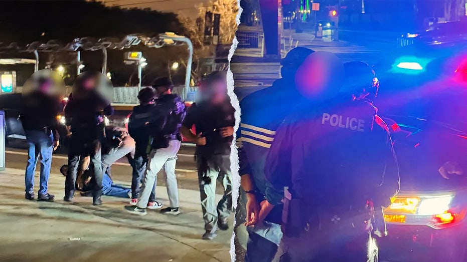 Behind the Handcuffs: What the Nick Reiner Case Reveals About America’s Mental Health and Justice Failures