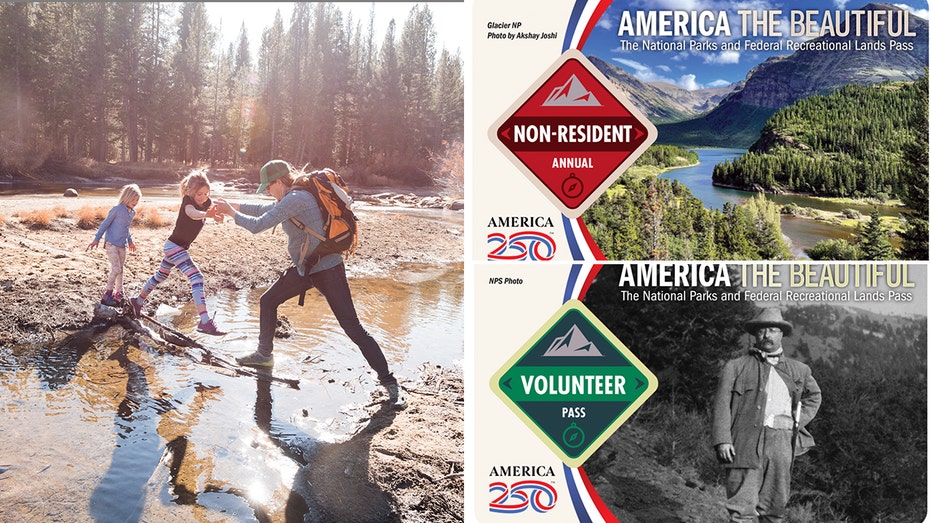 Beyond the Entry Gate: How New National Park Passes Reshape Access and Funding Priorities