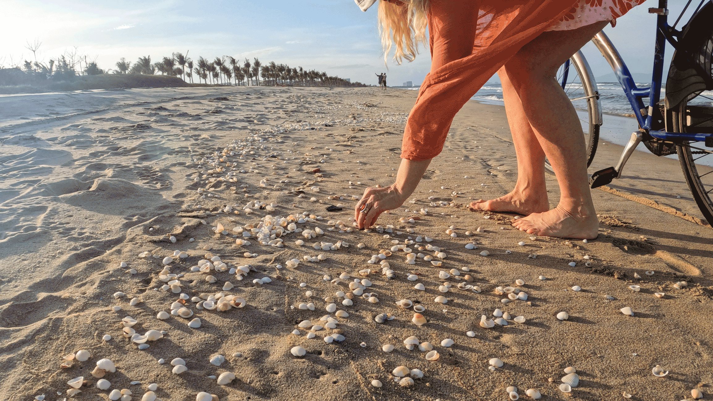 Okinawa Beachgoer’s Close Call with Deadly Venomous Cone Snail Shell