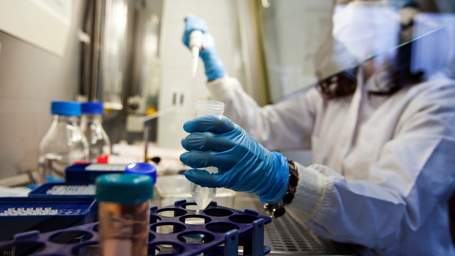 Bacterial Toxin Linked to Rising Colorectal Cancer Risk in Young Adults, Study Reveals