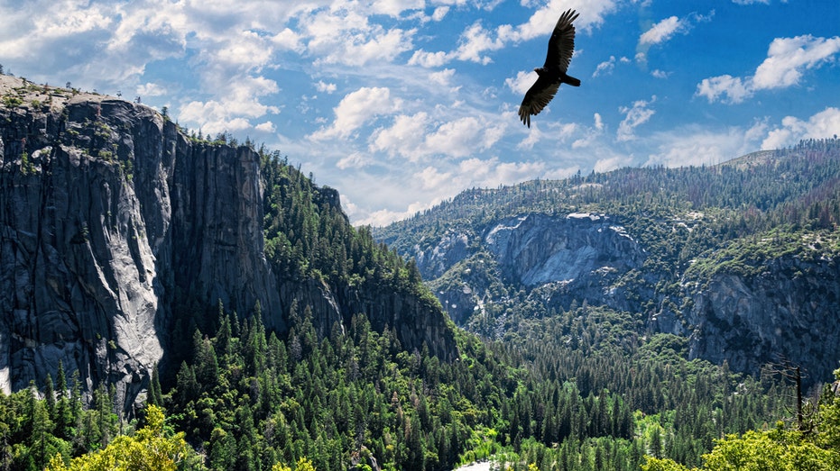 Beyond the Gift Shop: How Trump’s DEI Crackdown Rewrites What National Parks Can Say