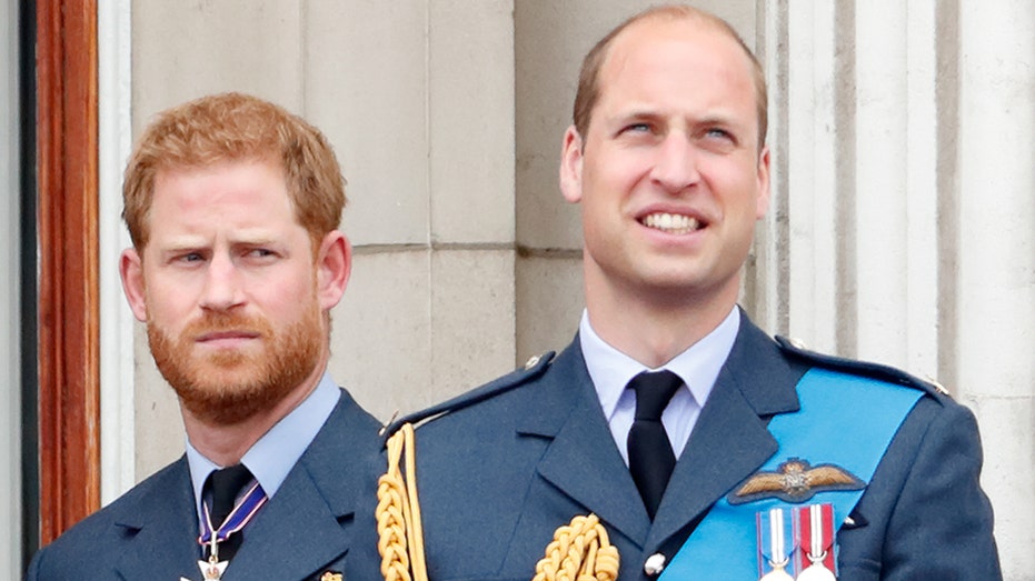 Diana's Ex-Lover Speaks Out: Feud Between William and Harry Would've 'Worried' Her