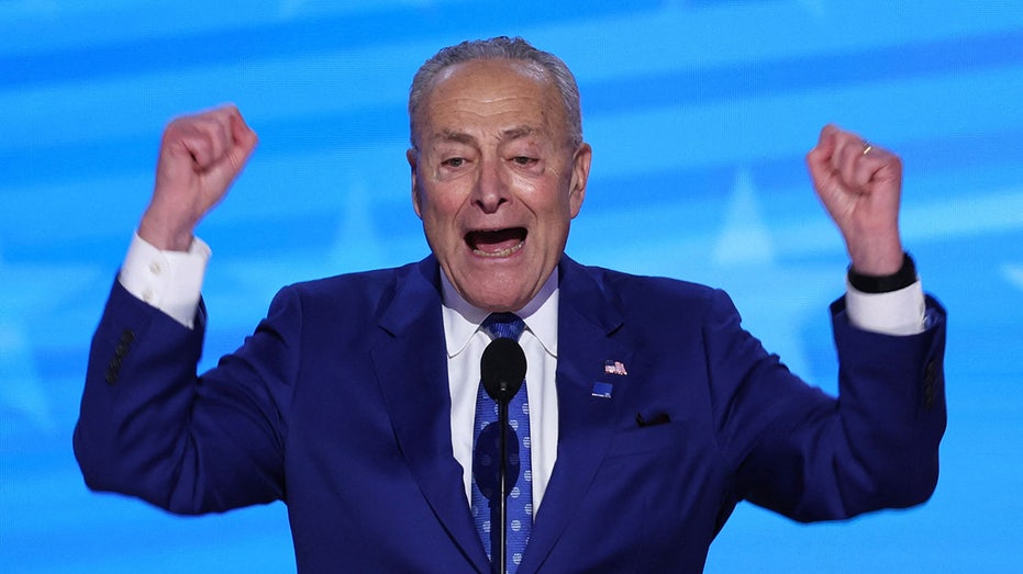 Democrats Struggle to Identify Their Party Leader in Revealing Interviews