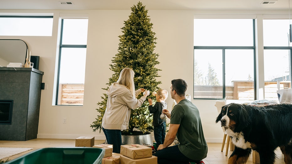 The Naked Christmas Tree Trend: Minimalism, Class, and the Battle over Holiday Meaning