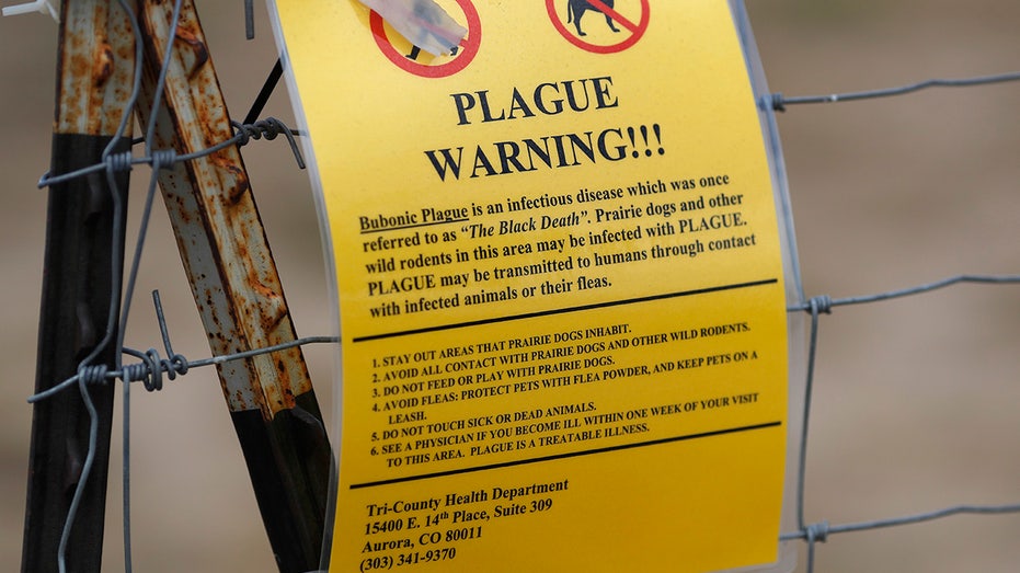 Arizona Resident Dies of Pneumonic Plague: First Fatal Case in Nearly 20 Years