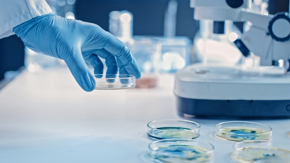 Leprosy in Americas Predates Europeans: Shocking New Study Unveils Ancient Bacterial Strain