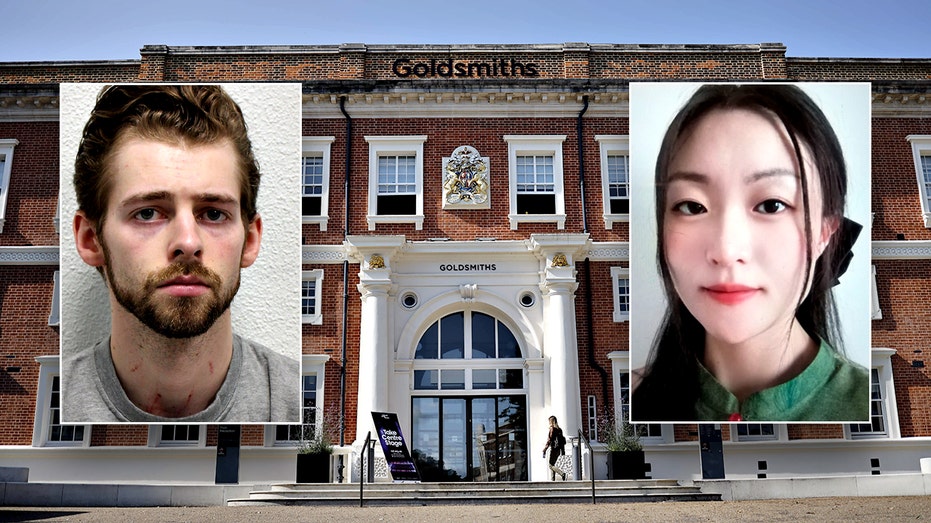 Beyond a “STD Argument”: What the Murder of Zhe Wang Really Reveals About Power, Evidence, and Safety