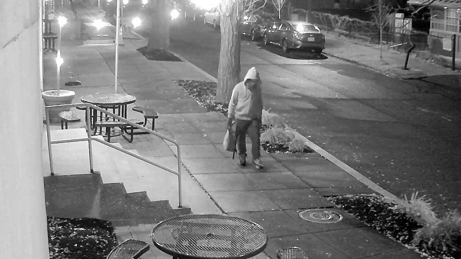 Brian Cole Jr. and the DC Pipe Bomb Case: Unveiling the Hidden Layers of Domestic Terrorism