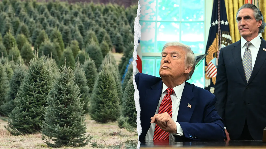 Beyond Festivities: Analyzing the Trump Interior Department’s Christmas Tree Savings Plan as Wildfire Prevention and Economic Relief