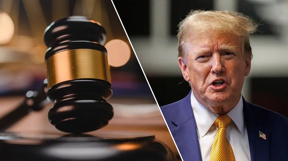 Judges vs. Trump: Key Court Battles Blocking the White House Agenda