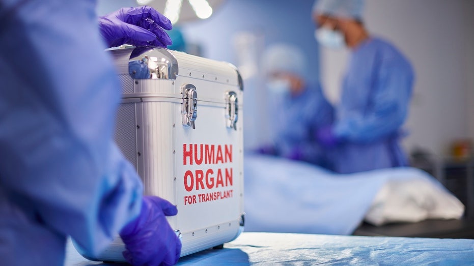 Patient Dies From Rabies After Organ Transplant Tragedy