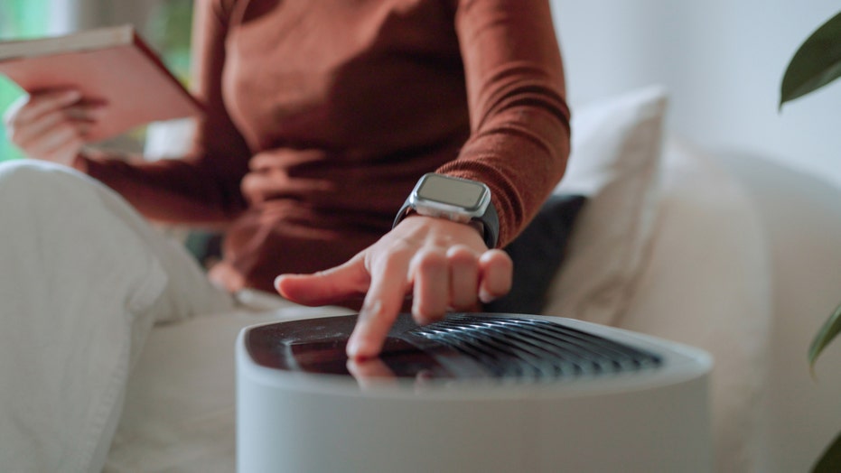 Breathe Easy: Top Amazon Prime Day Air Purifier Deals for Every Home