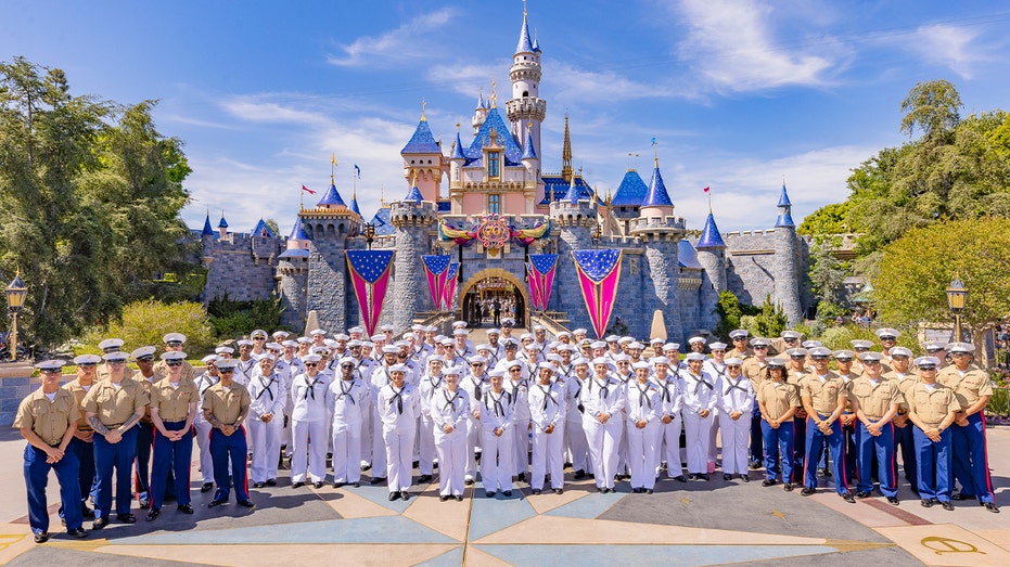 Disneyland Surprises 100 Navy Sailors and Marines with Magical Day Before Memorial Day