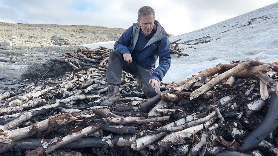 Melting Ice, Frozen Power: What Norway’s 1,500-Year-Old Reindeer Trap Really Tells Us
