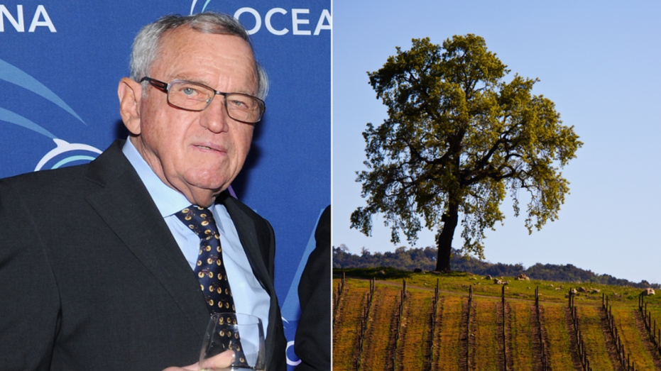 Swiss Billionaire Wyss Hit with Sexual Harassment Lawsuit at California Winery