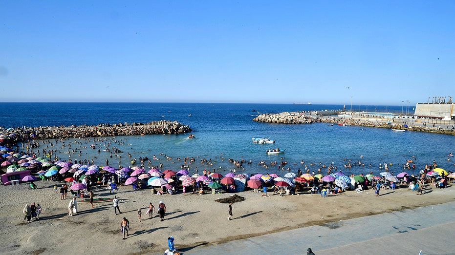 Chetaïbi’s Swim Trunks Ban Sparks Cultural Clash and Quick Reversal in Algeria