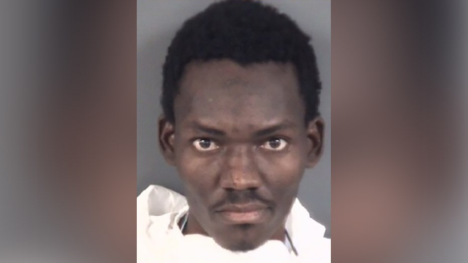 Haitian Migrant in NC Triple Murder Case Entered US Via Biden's Flight Program