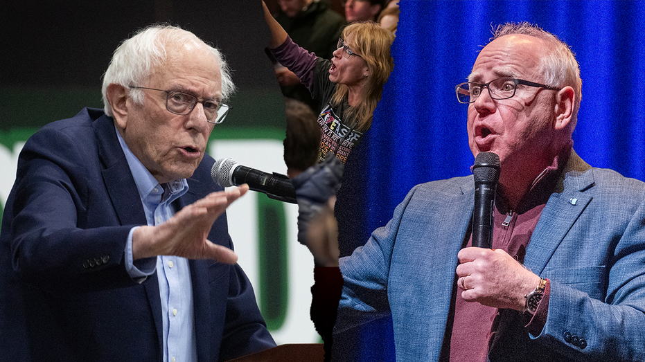 Democrats Turn Up the Heat at GOP Town Halls Amid Protests and Political Theater