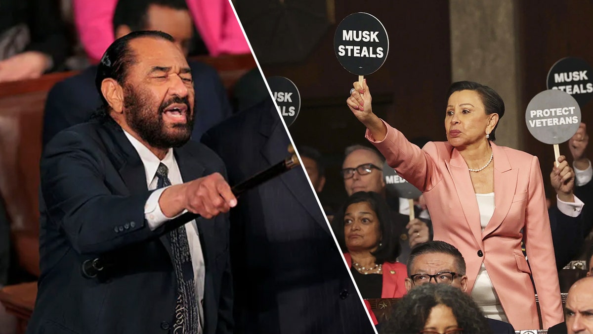 Why Democrats Can’t Escape Their Activist Dilemma