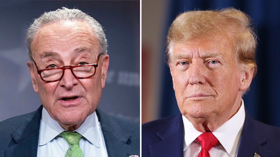 Shutdown Averted as Schumer Backs Trump Spending Bill