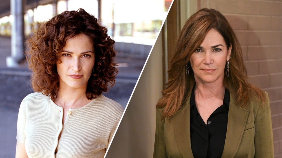 NYPD Blue Star Kim Delaney's Felony Arrest: A Tumultuous Journey Through Decades of Struggles