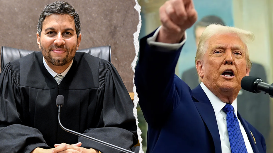 Judges Standing Their Ground Against Trump's Agenda: A Closer Look