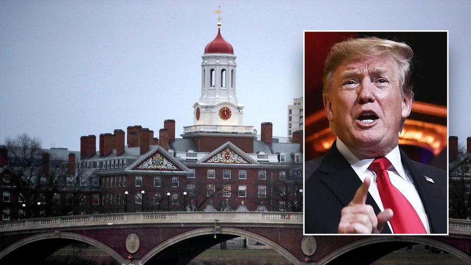 Judge Blocks Trump’s Visa Crackdown on International Students Amid Campus Protest Uproar