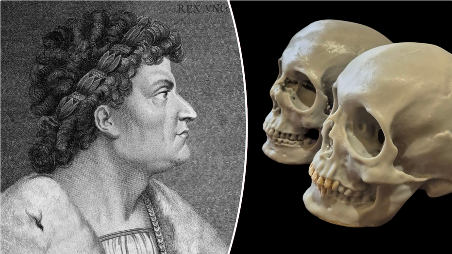 Skull Discovered in Ruined Hungarian Church May Belong to Legendary King Matthias Corvinus