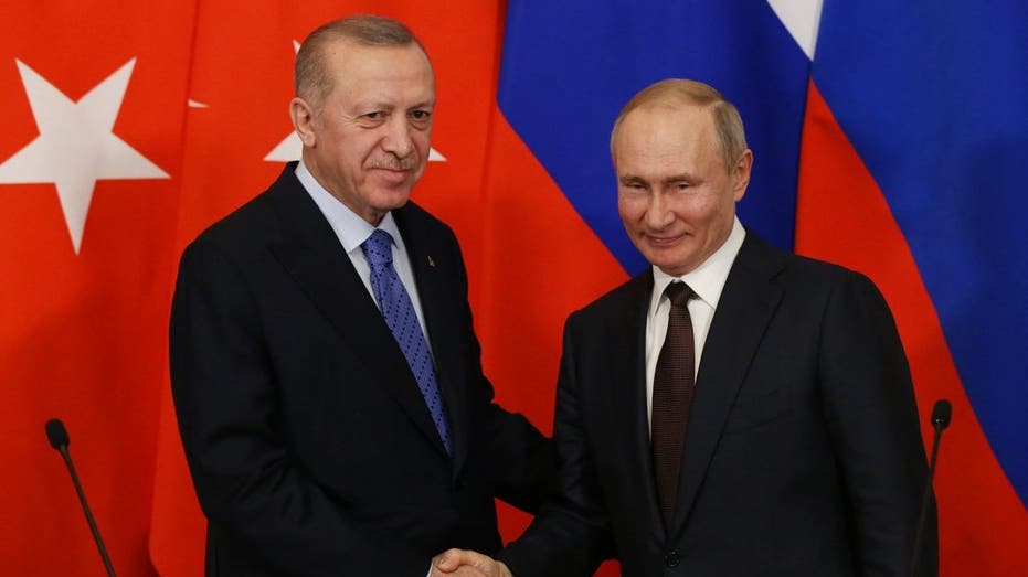 Bipartisan Push Aims to Curb Erdogan's Turkey Over Closer Ties to U.S. Rivals