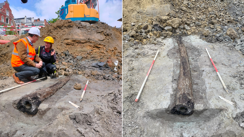 Rare Roman Wooden Water Pipe Unearthed in Leuven, Belgium