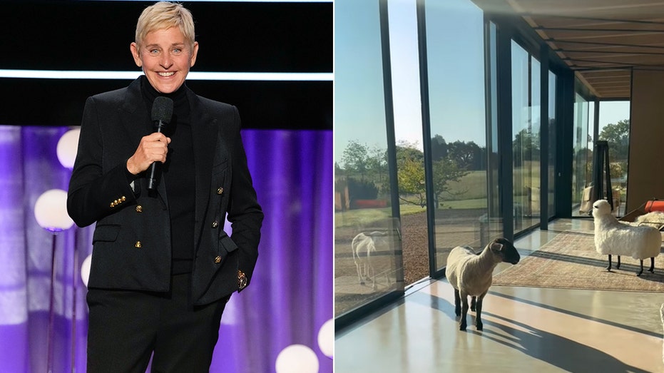 Ellen DeGeneres’ Cotswolds Home Invaded by Sheep in Hilarious Rural Mishap