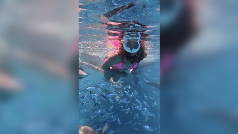 Sharks Surround Snorkeling Tourist During Wild Encounter: 'They Looked Terrifying'