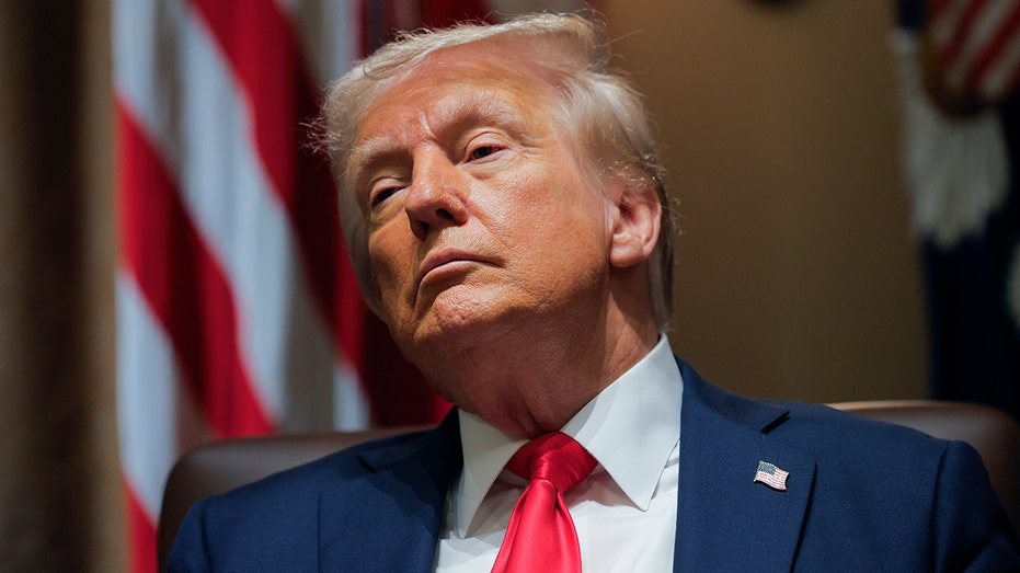 Trump Claims American Campus 'Agitators' Will Face Expulsion or Imprisonment for 'Illegal' Protests