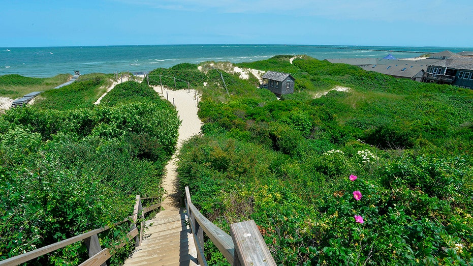 Shark Attacks Surge: Nantucket Fisherman Bitten, Summer Beaches on Alert