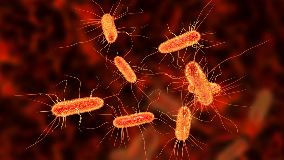 FDA Kept Quiet on Multi-State E. coli Outbreak Tied to Romaine Lettuce, Raising Eyebrows
