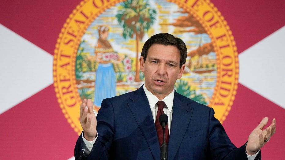 DeSantis Returns $878M in Tax Dollars to Feds After Meeting Musk's DOGE Team