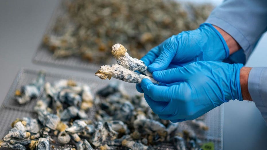 Single Dose of Magic Mushrooms Offers 5 Years of Depression Relief, Study Finds