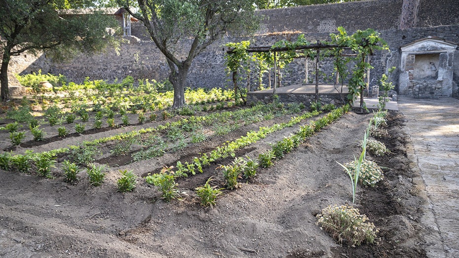 Pompeii's Ancient Perfume Garden Blooms Again After 1,900 Years