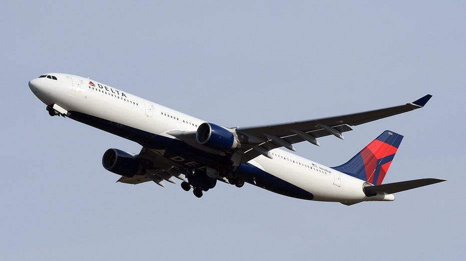 Delta Passenger Allegedly Bites and Hits Fellow Travelers on Flight to LA