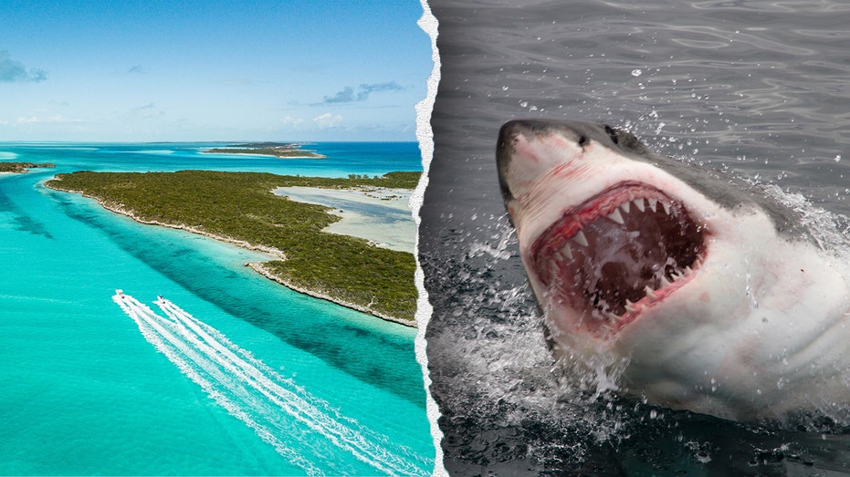 Travel Warning Issued for The Bahamas: Crime and Shark Attacks Highlighted