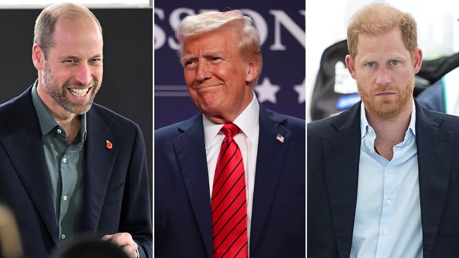 Prince William Views Trump Relationship as Key to Monarchy's Future: Expert