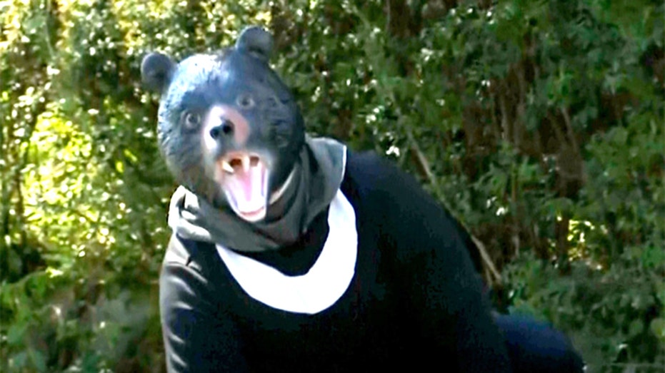 Bear Attacks in Japan Spark Unique Police Drills with Costumed Simulations