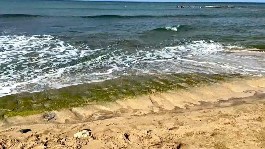 Ancient Hawaiian Petroglyphs Resurface on Oahu Beaches, Captivating Tourists