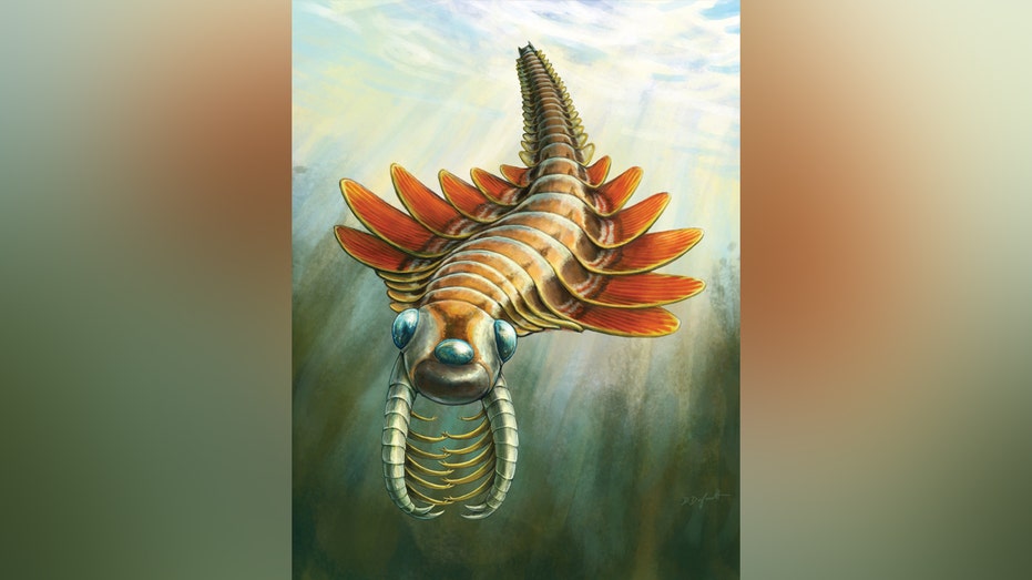 506-Million-Year-Old Moth-Like Predator Mosura Fentoni Found in Canada
