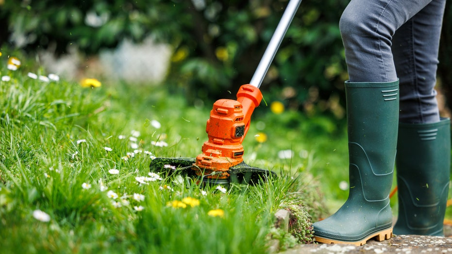 Score Big on Lawn Care Essentials During Amazon's Spring Sale
